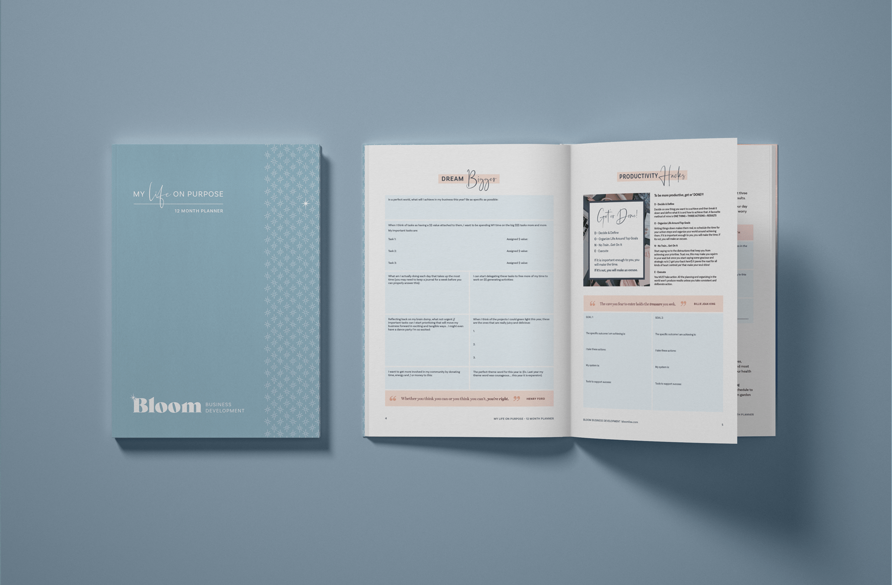 Bloom Business Development Workbooks